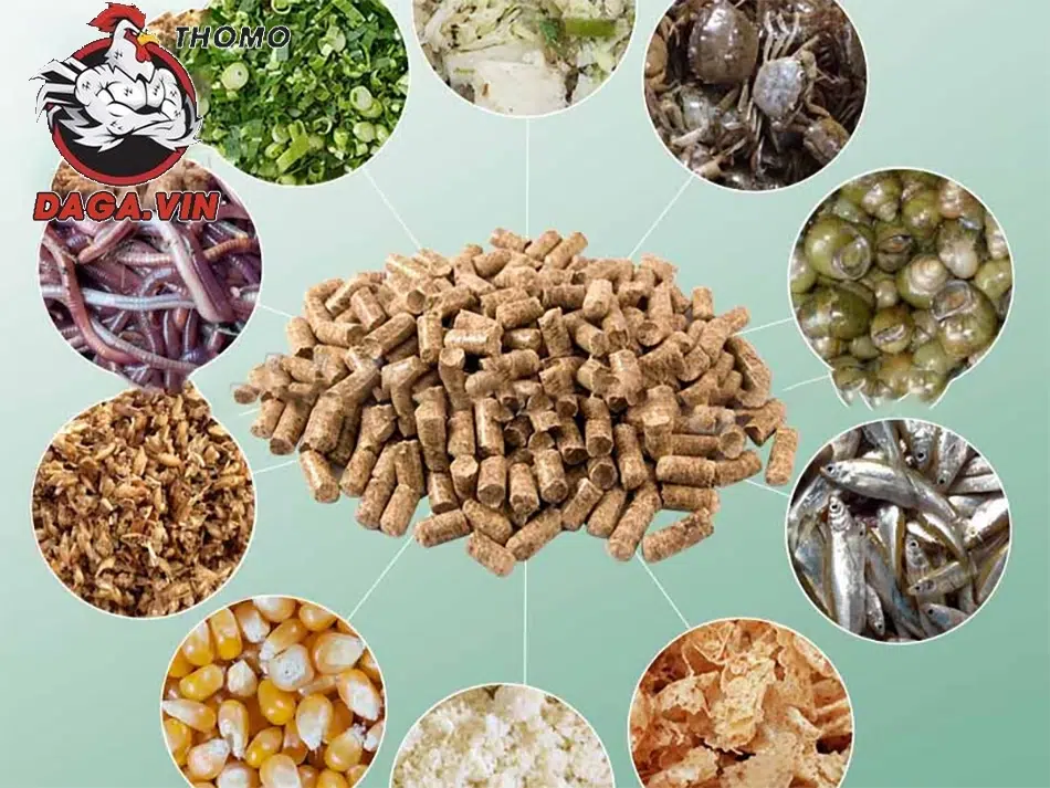 Xây dựng mục tiêu về trọng lượng và theo dõi quá trình phát triển