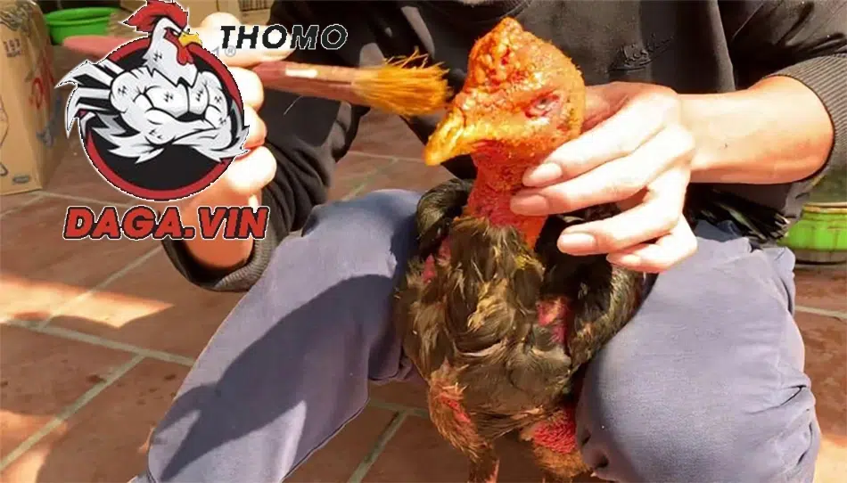 Chuẩn bị nguyên liệu khi tiến hành vào nghệ