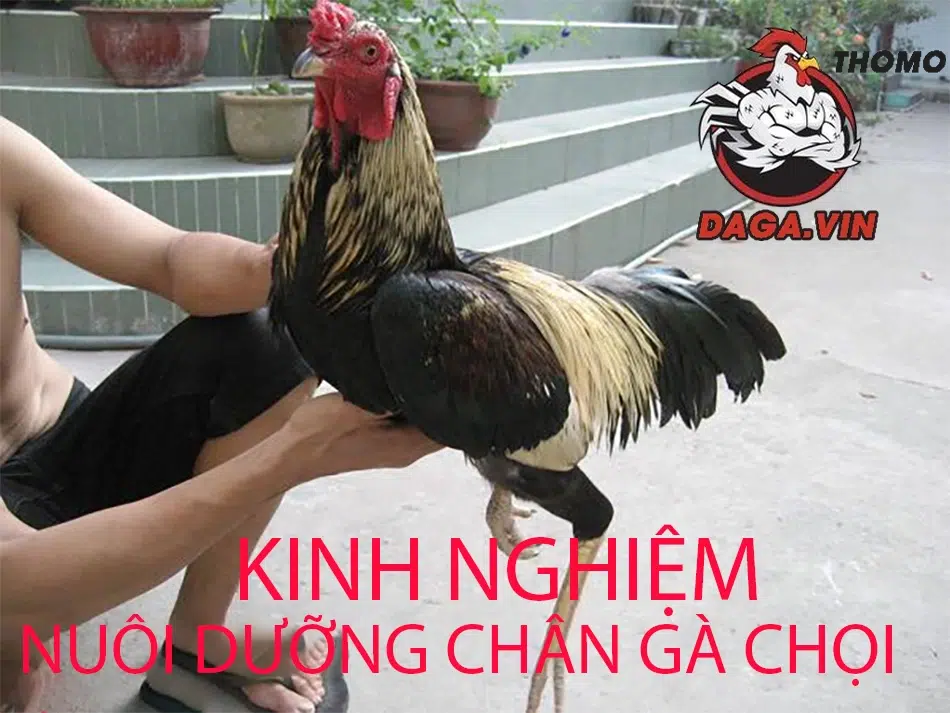 Những lưu ý siêu hữu ích mà bạn không thể không biết