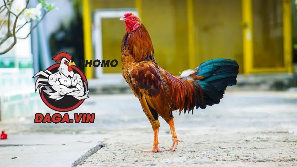 Mách bạn những kinh nghiệm cực hiệu quả của các chuyên gia