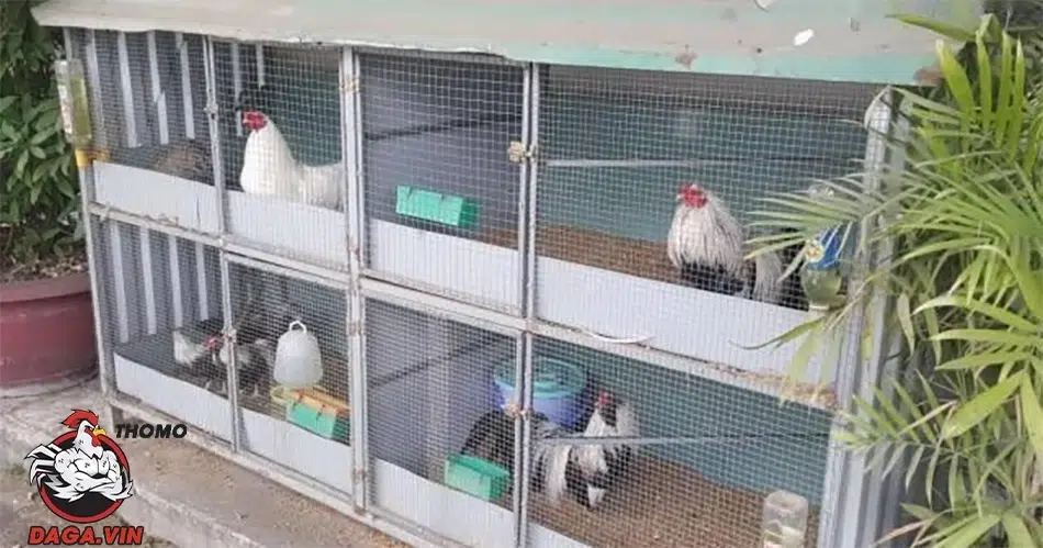 Chú ý đến môi trường sinh sống