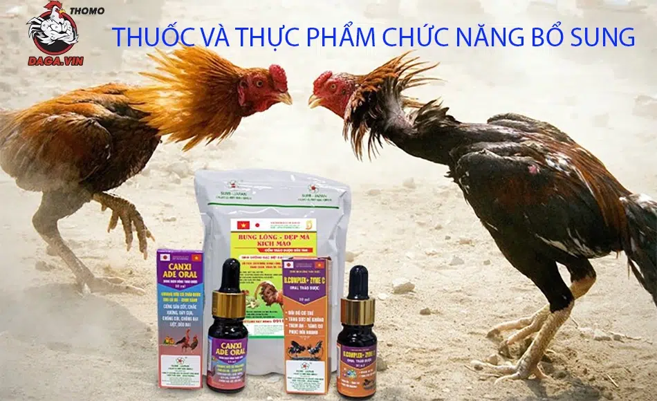 Chia Sẻ Cách Nuôi Gà Đá Lông Bóng Mượt, Đẹp Mã Hiệu Quả 2 Thời điểm tốt nhất thực hiện tỉa lông gà chọi cần biết
