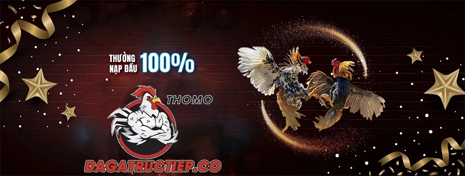 trải nghiệm Cơ hội nhận thưởng lớn qua nhiều chương trình khuyến mãi dagatructiep