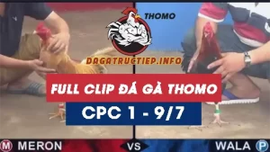 Full Video phát lại Trực tiếp đá gà CPC1 Thomo ngày 09/07/2024