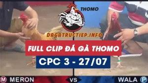 Full Video phát lại Trực tiếp đá gà Thomo C3 ngày 27/07/2024