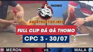 Full Video phát lại Trực tiếp đá gà Thomo C3 ngày 30/07/2024