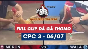 Full Video phát lại Trực tiếp đá gà Thomo ngày 06/07/2024