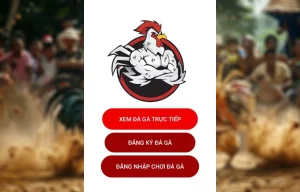 Giao diện app đá gà trực tiếp