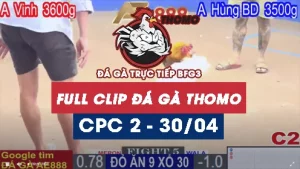 Phát lại đá gà Trực tiếp C2 ngày 30/04/2025
