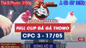Phát lại đá gà thomo C1 ngày 17/05/2025