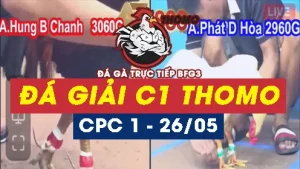 PHÁT LẠI VIDEO ĐÁ GIẢI C1 - 26/05/2025