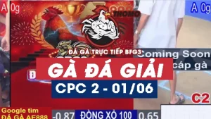 Phát lại đá giải tại thomo C2 ngày 01/06/2025