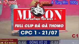 Clip phát lại đá gà CPC1 - 21/07/2025