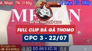 Clip phát lại đá gà CPC3 - 22/07/2025