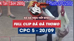 full-clip-da-ga-thomo-cpc5-ngay-20-09-2025