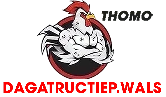 XEM ĐÁ GÀ THOMO TRỰC TIẾP C1 C2 C3 C4 C5 C6 NGÀY HÔM NAY